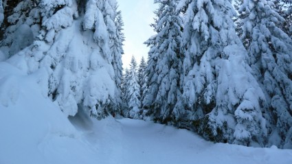 neve di inverno Ski tour