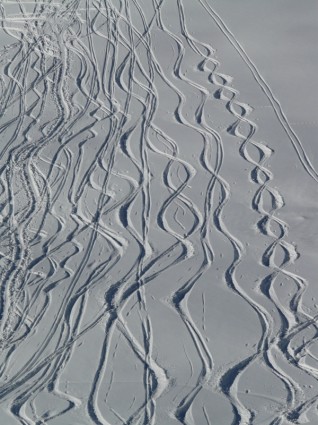 Trượt tuyết khởi hành wag