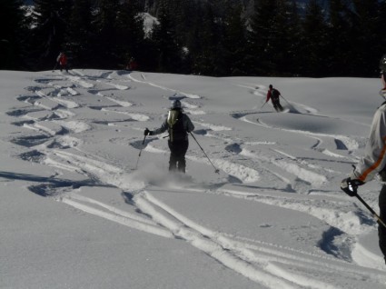 salida de esquí esquiadores