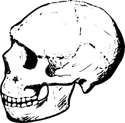 ClipArt di cranio