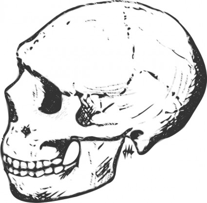 頭蓋骨のグレースケールのクリップ アート