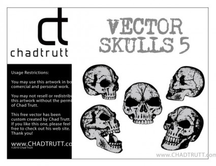 Skull Vector