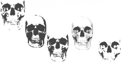 vettori di cranio