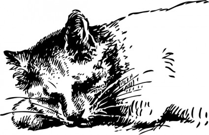 眠っている猫のクリップアート
