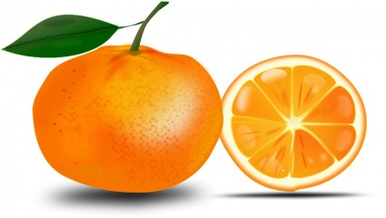 Scheibe einer Orange