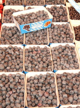sloes 莓果市场