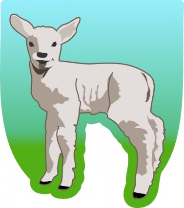 pecore piccole ClipArt