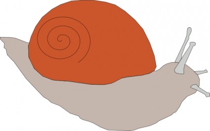 clip art de caracol