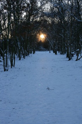 salju dan matahari terowongan