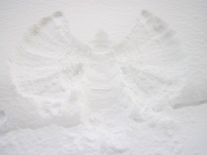 Ángel de nieve