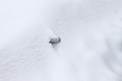 mobil tertutup salju