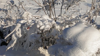 雪景观冬季爆炸