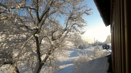 esplosione di neve paesaggio invernale
