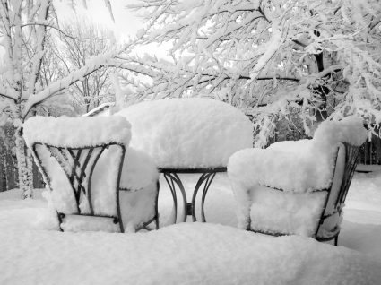 śnieg recepcji tapety Zima natura