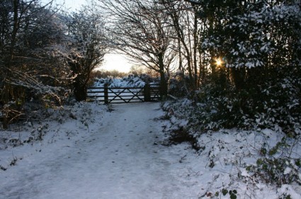 escena de nieve