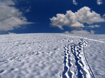 neige pistes traces neige