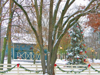 雪の木々 や納屋