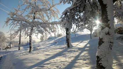 paesaggio di neve invernale blast