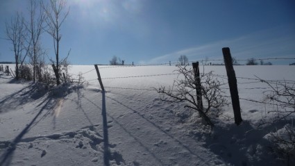 Schnee-Winter-Natur