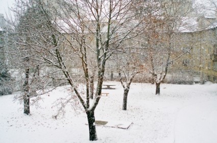 Schneefall-Landschaft