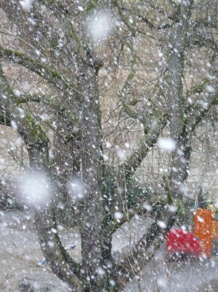 snowfall หิมะเกล็ดหิมะ