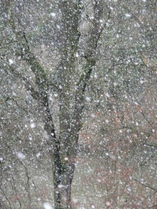 snowfall หิมะเกล็ดหิมะ