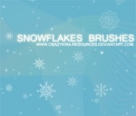 spazzole di fiocchi di neve