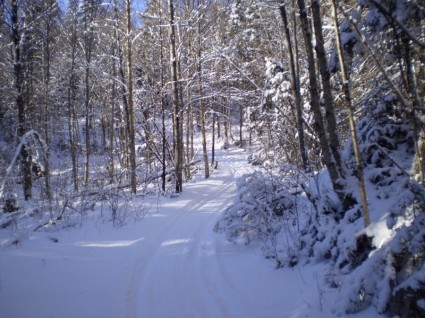 Snowmobil trail