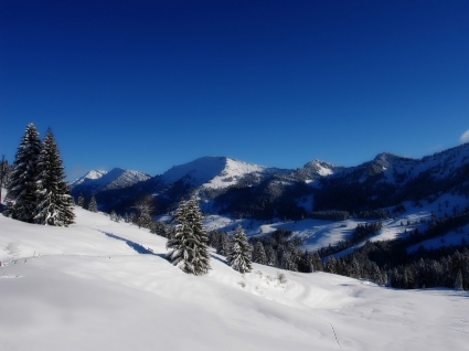 白雪皑皑的阿尔卑斯山壁纸冬季性质