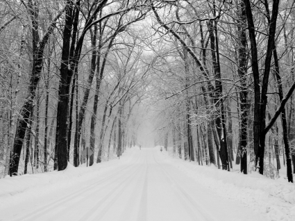 Verschneite Straße Tapete Winternatur