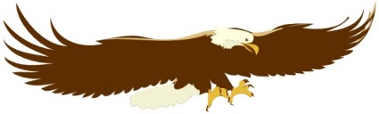 clipart de flambée eagle
