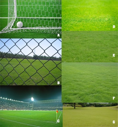 Fußball Feld Rasen
