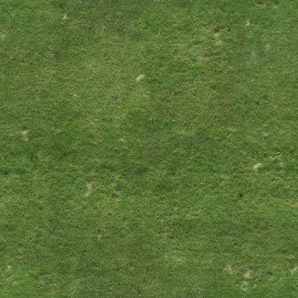 tappeto erboso campo di calcio