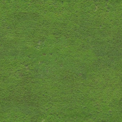 tappeto erboso campo di calcio
