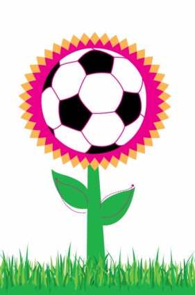 Fußball-Blume