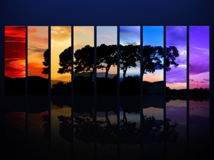 나무 벽지 사진의 스펙트럼 특성 조작