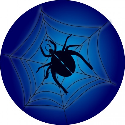 araignée sur le web