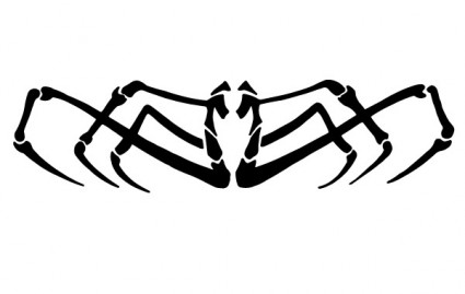nhện vector clip nghệ thuật