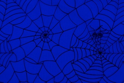 Spider-Web-Muster