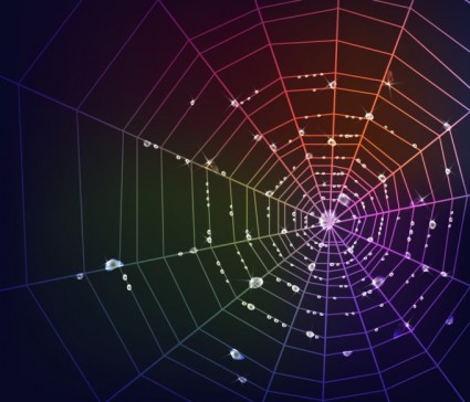 örümcek web vektör