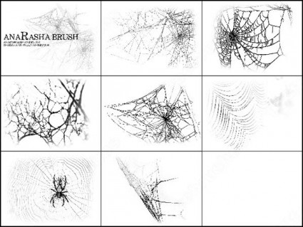 cepillo de arañas web