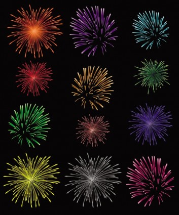 Splendid Fireworks Fireworks Vector
