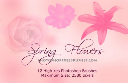 Wiosna Kwiaty photoshop pędzle vol