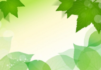 primavera hojas verdes frescas vector illustration