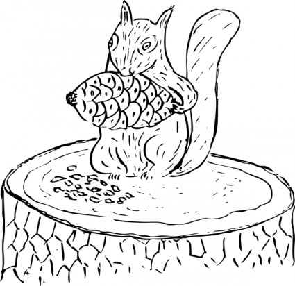 파인 콘 클립 아트를 먹는 다람쥐