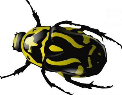 SRD hijau kumbang clip art