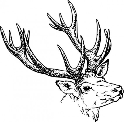 鹿の頭のクリップアート