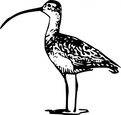 ptak stojący zapowiadane clipart