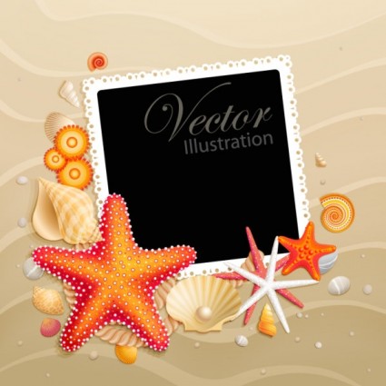 bintang laut shell vektor