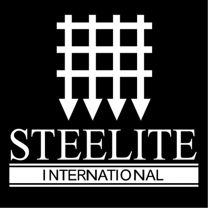 Steelite internacional
